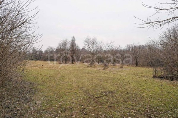 terreno agricolo in vendita a Briosco