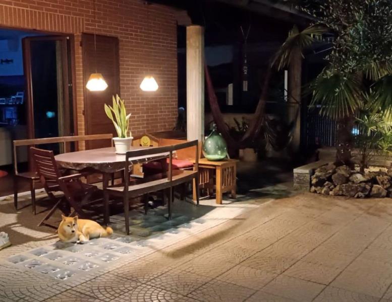 immagine annuncio 0 di 15