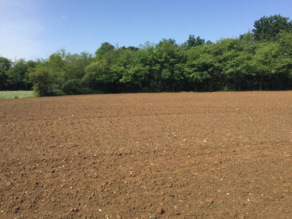 terreno agricolo in vendita a Camparada