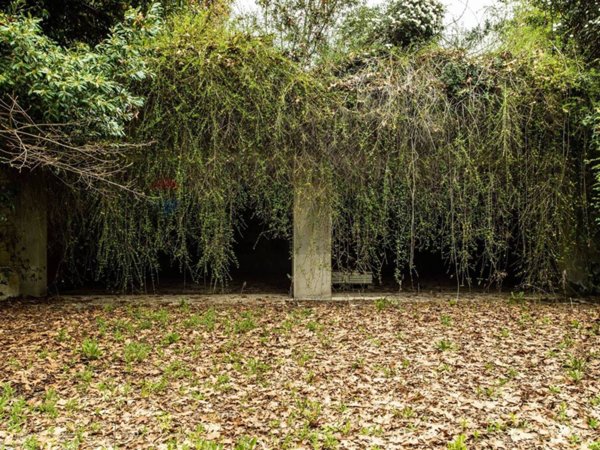 casa indipendente in vendita a Camparada