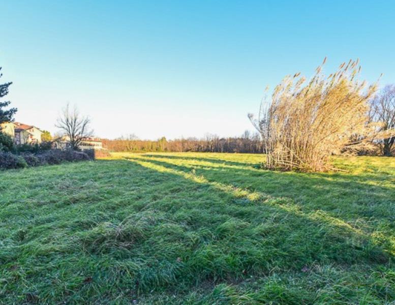 terreno agricolo in vendita a Carate Brianza