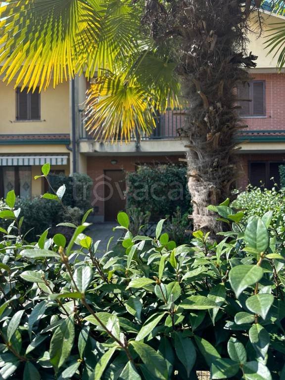 casa indipendente in vendita a Carate Brianza in zona Agliate