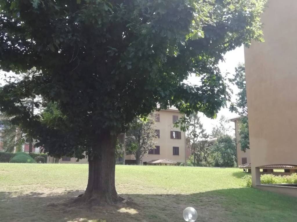 appartamento in vendita a Carate Brianza in zona Agliate