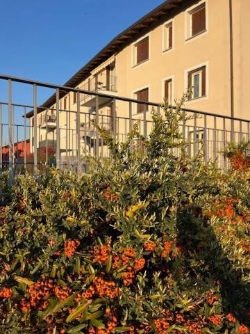 appartamento in vendita a Carnate