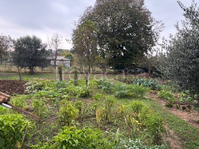 terreno agricolo in vendita a Cavenago di Brianza
