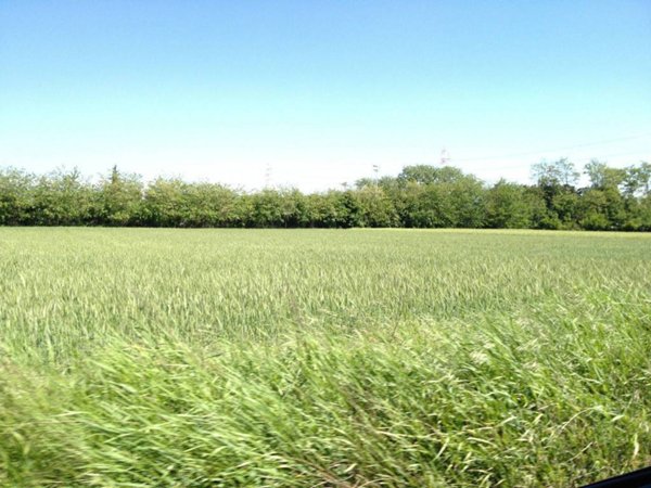 terreno edificabile in vendita a Cavenago di Brianza