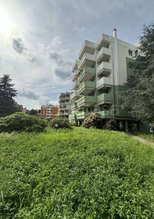 appartamento in vendita a Cesano Maderno