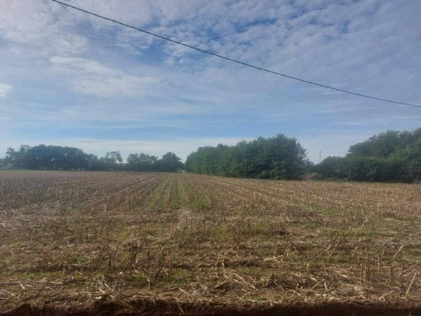 terreno agricolo in vendita a Concorezzo