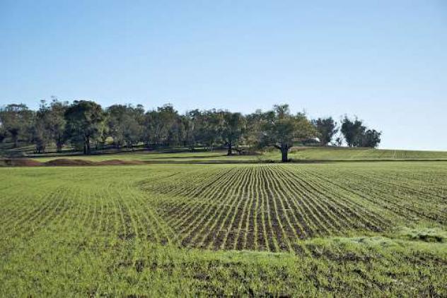 terreno agricolo in vendita a Concorezzo