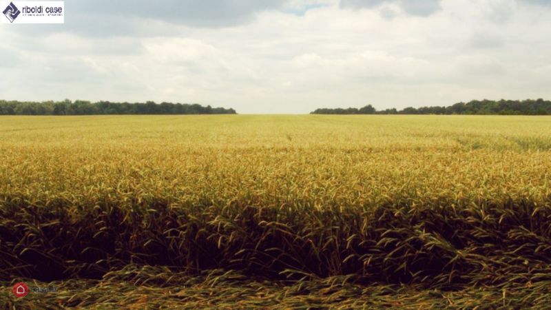 terreno agricolo in vendita a Desio