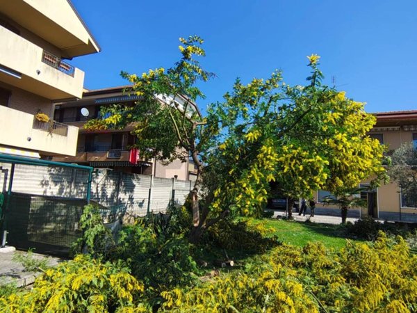 appartamento in vendita a Desio