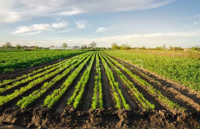 terreno agricolo in vendita a Desio