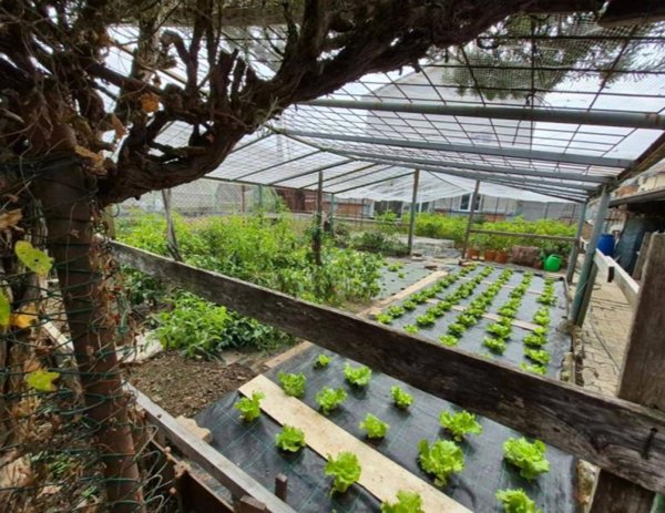 appartamento in vendita a Giussano in zona Birone