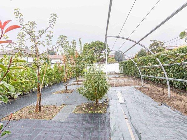 appartamento in vendita a Giussano in zona Paina
