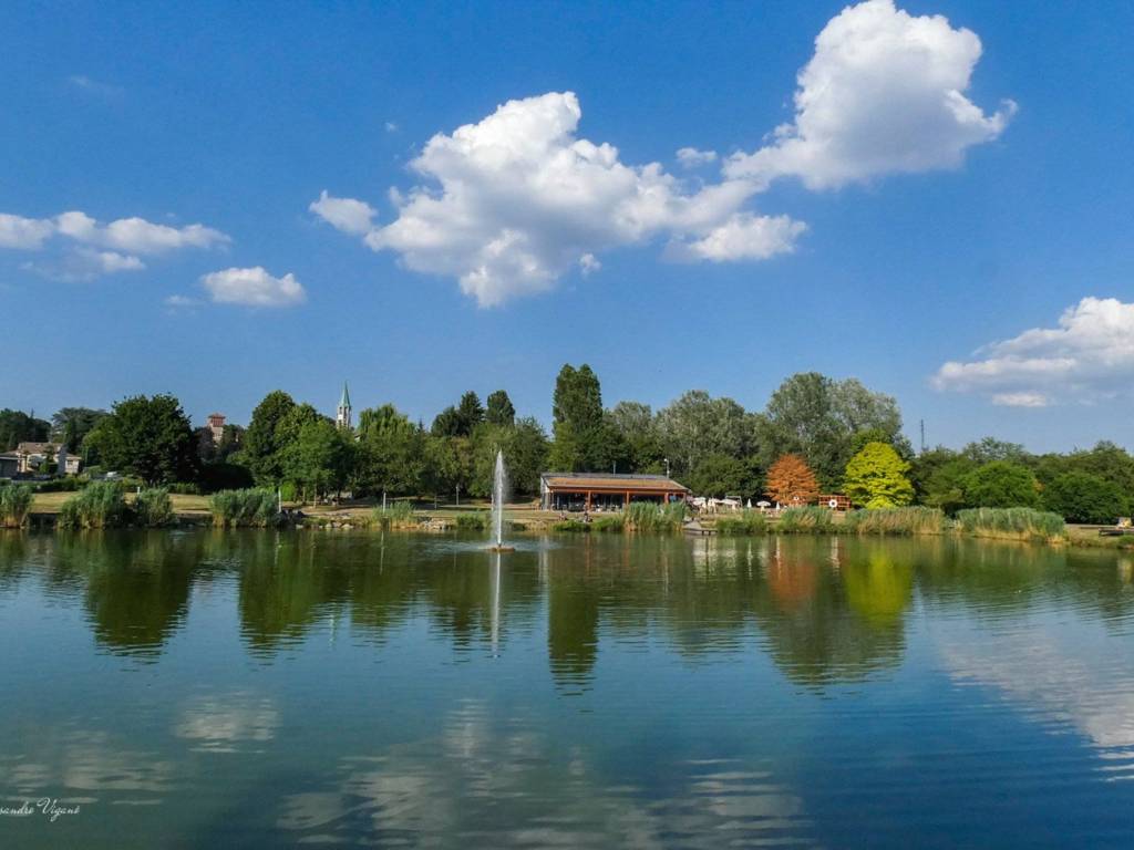 appartamento in vendita a Giussano