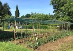 immagine annuncio 0 di 12