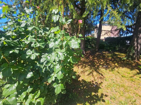 appartamento in vendita a Giussano