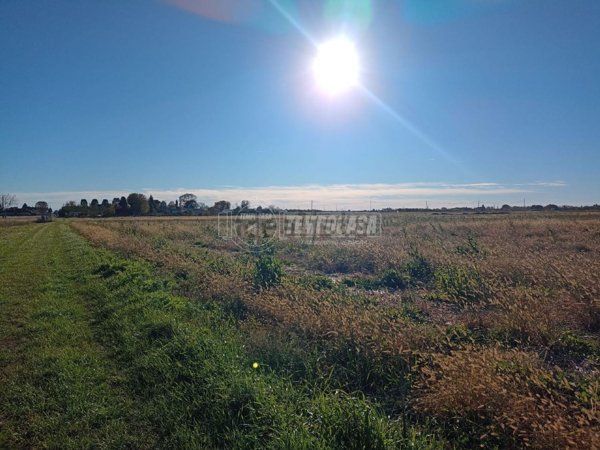 terreno agricolo in vendita a Lazzate