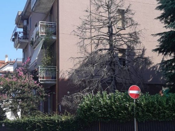 appartamento in vendita a Limbiate