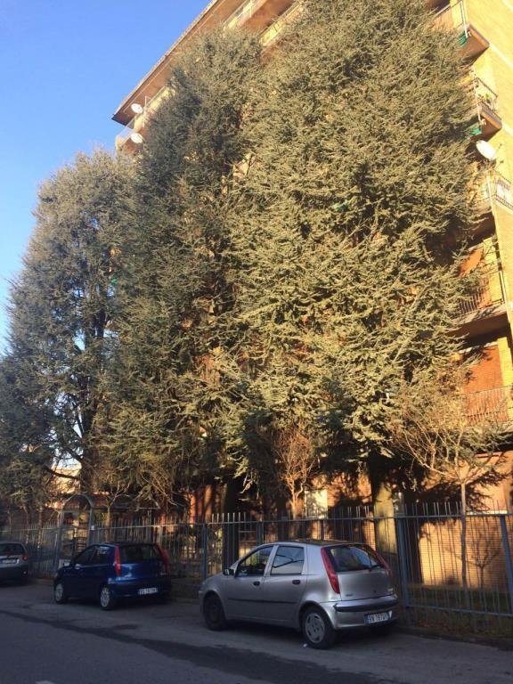 appartamento in vendita a Lissone
