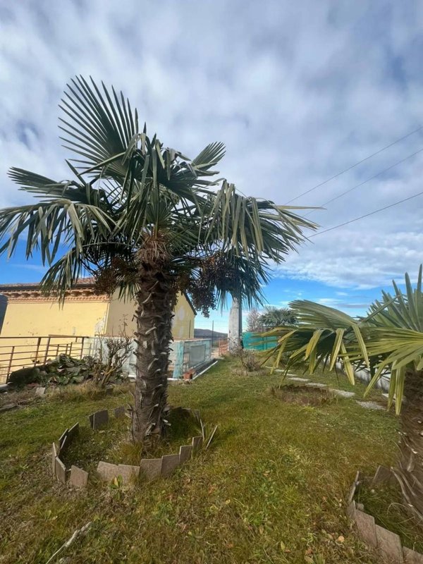 casa indipendente in vendita a Lissone in zona Santa Margherita