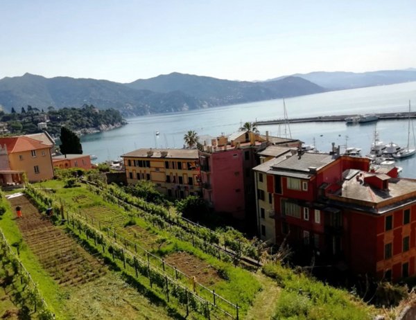 appartamento in vendita a Lissone in zona Santa Margherita