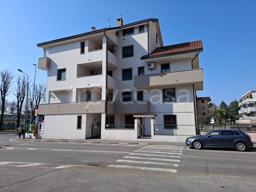 immagine annuncio 0 di 15