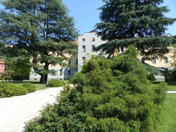 appartamento in vendita a Macherio