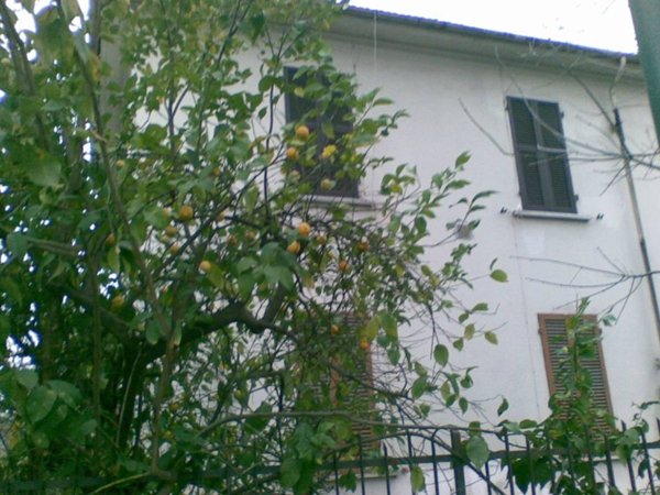 casa indipendente in vendita a Macherio