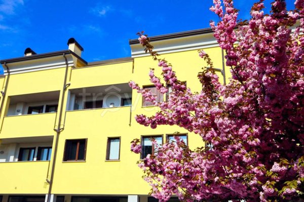appartamento in vendita a Meda