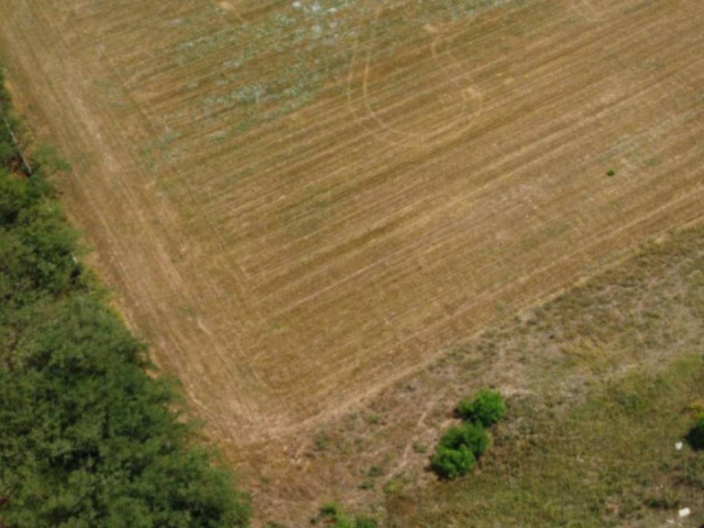 terreno edificabile in vendita a Meda