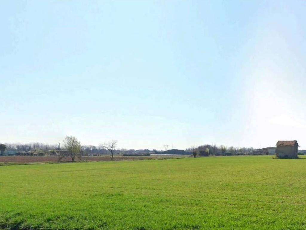 terreno agricolo in vendita a Mezzago