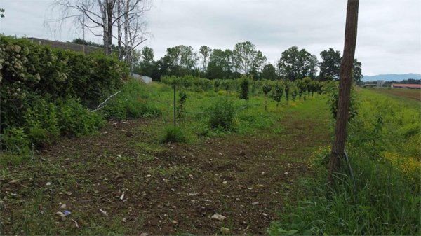 terreno agricolo in vendita a Misinto