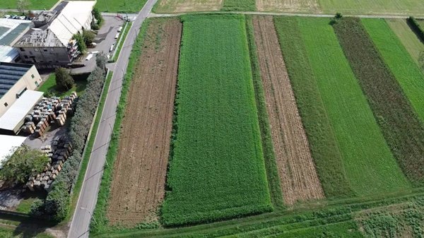 terreno agricolo in vendita a Misinto