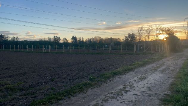 terreno agricolo in vendita a Misinto