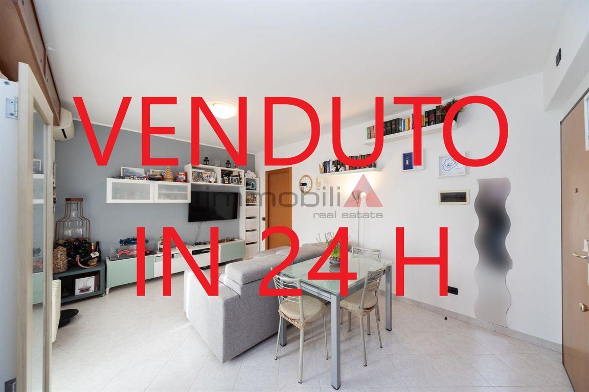 immagine annuncio 0 di 15
