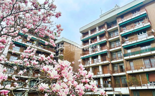 appartamento in vendita a Monza in zona Ospedale San Gerardo