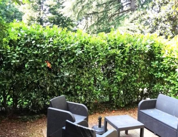 appartamento in vendita a Monza in zona Ospedale San Gerardo