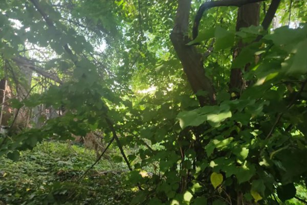 terreno edificabile in vendita a Monza