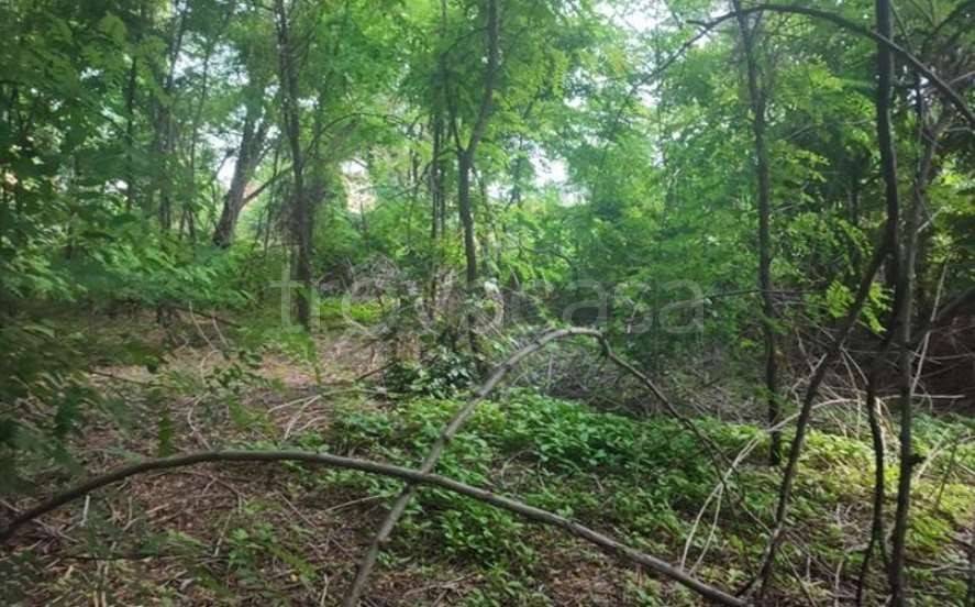 terreno agricolo in vendita a Monza