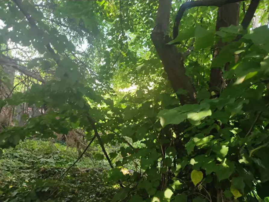 terreno edificabile in vendita a Monza