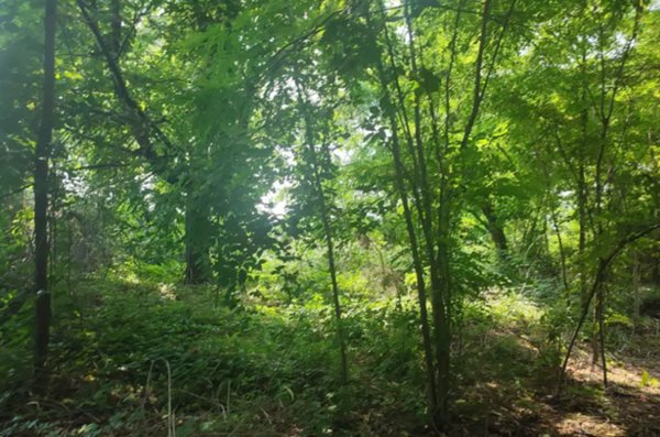 terreno edificabile in vendita a Monza