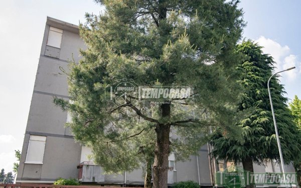 appartamento in vendita a Monza