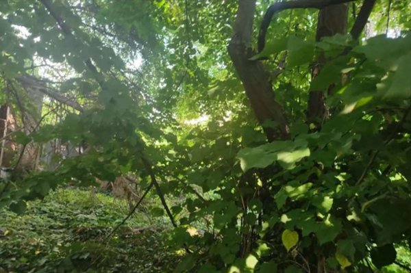 terreno edificabile in vendita a Monza