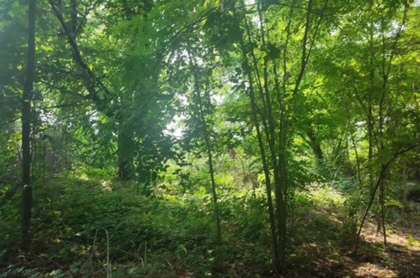 terreno edificabile in vendita a Monza