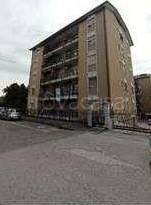 appartamento in vendita a Monza in zona Ospedale San Gerardo
