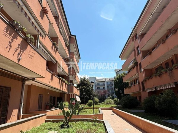 appartamento in vendita a Monza