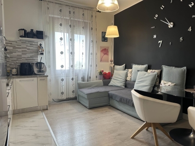 appartamento in vendita a Monza