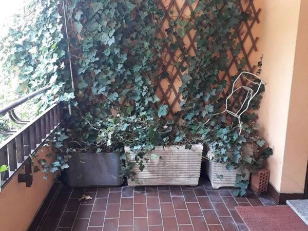 appartamento in vendita a Monza