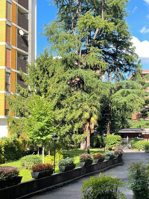 appartamento in vendita a Monza in zona Centro Storico